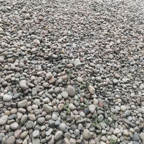 布石生产公园假山 水处理过滤器用鹅卵石